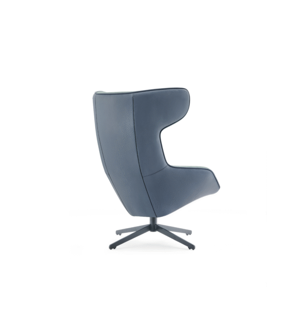 Untitled design - 2025-10-08T114659.113 DANA Lounge Chair