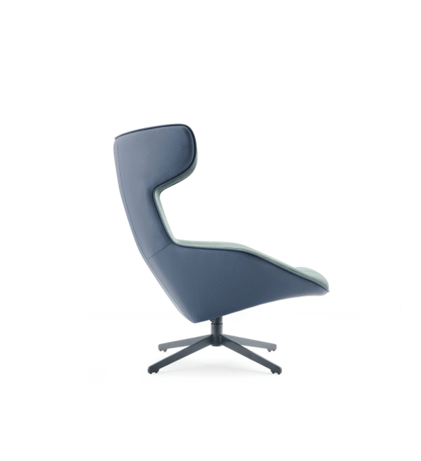 Untitled design - 2025-10-08T120608.921 DANA Lounge Chair