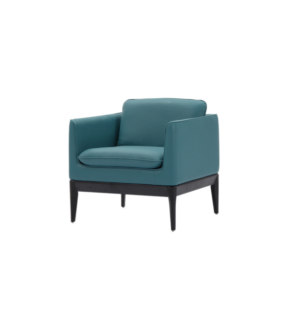 Untitled design - 2025-10-09T091430.183 JACK Single Seater Sofa