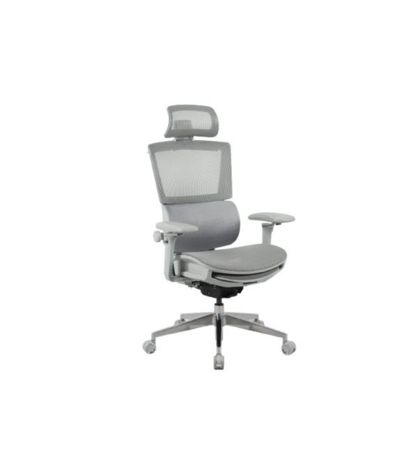 COZY Office Chair COZY Office Chair